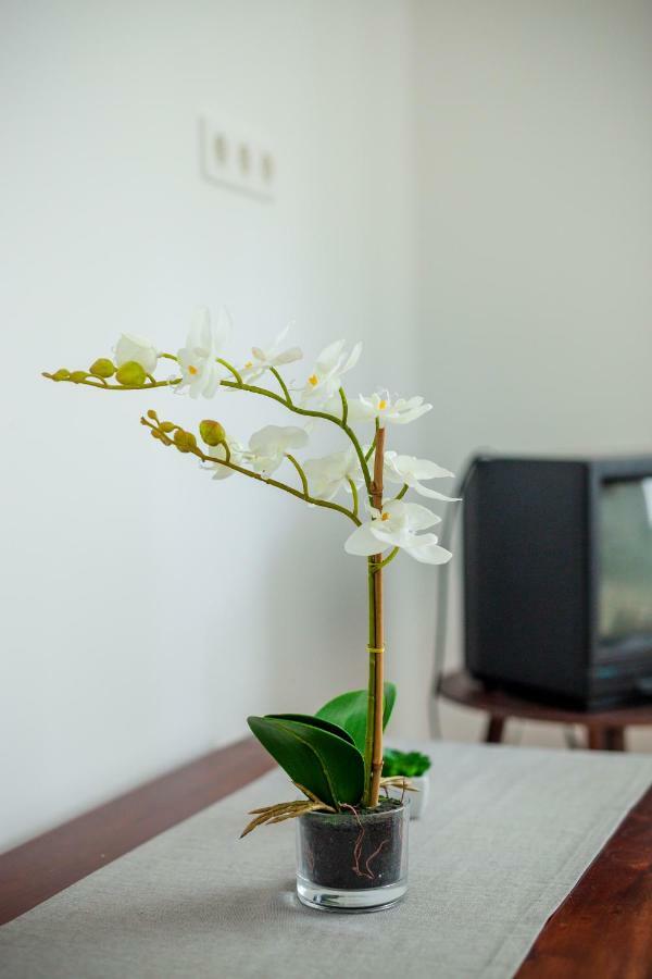 Viragos Vendeghaz Apartment Keszthely Ngoại thất bức ảnh